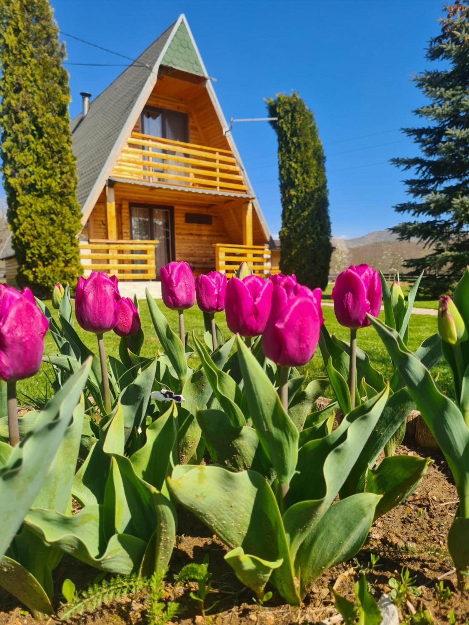 Chalet Velebitska Kuća Velika Plana Exterior foto