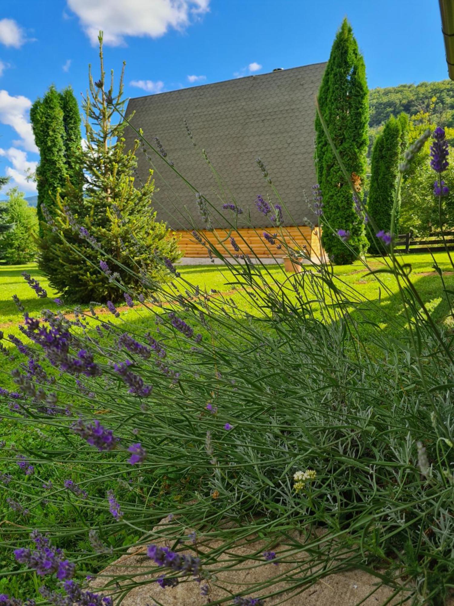 Chalet Velebitska Kuća Velika Plana Exterior foto